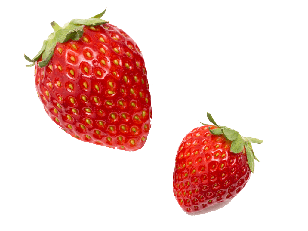 朝採れの新鮮なフルーツを贅沢に